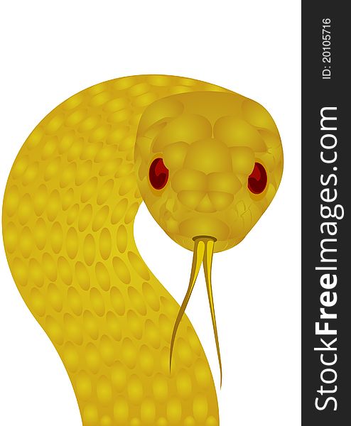 Gold poisonous snake. The illustration on white background. Gold poisonous snake. The illustration on white background.