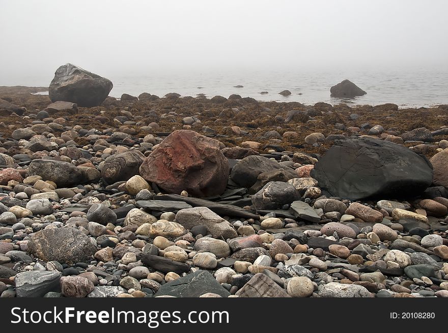 Stones Barents Sea in summer