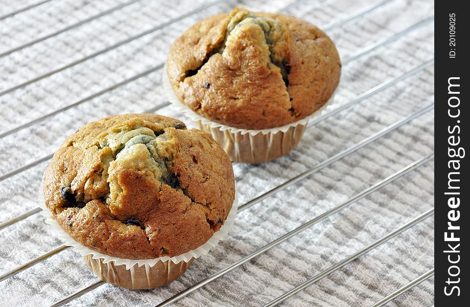 Two freshly baked blueberry muffins. Two freshly baked blueberry muffins