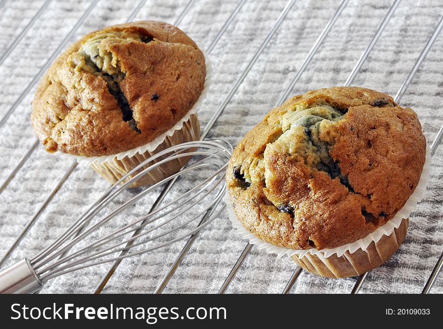 Two blueberry muffins
