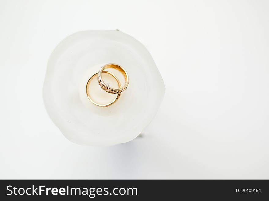 Gold wedding rings on white