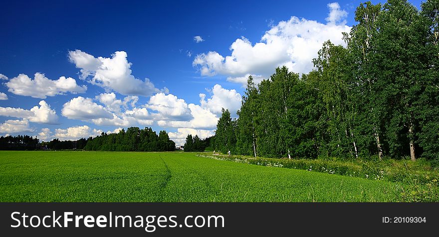 Everything is beautiful in spring and summer. Everything is beautiful in spring and summer