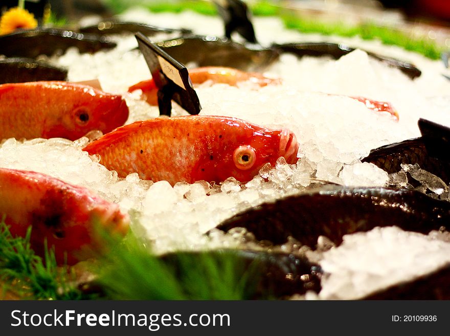 These are fresh fishes in fresh market in Thailand. They are Thai food ingredient.