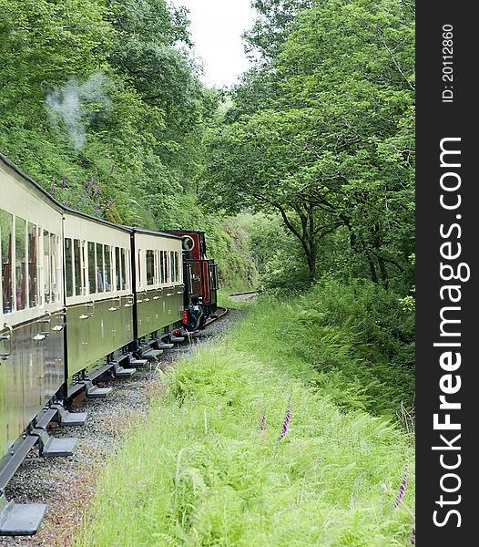 Vale of Rheidol Railway, Aberystwyth to Devils Bridge line, North Wales, United Kingdom