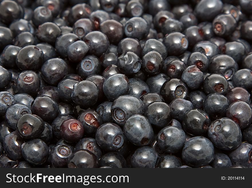 Blueberry background - the power of fruit. Blueberry background - the power of fruit