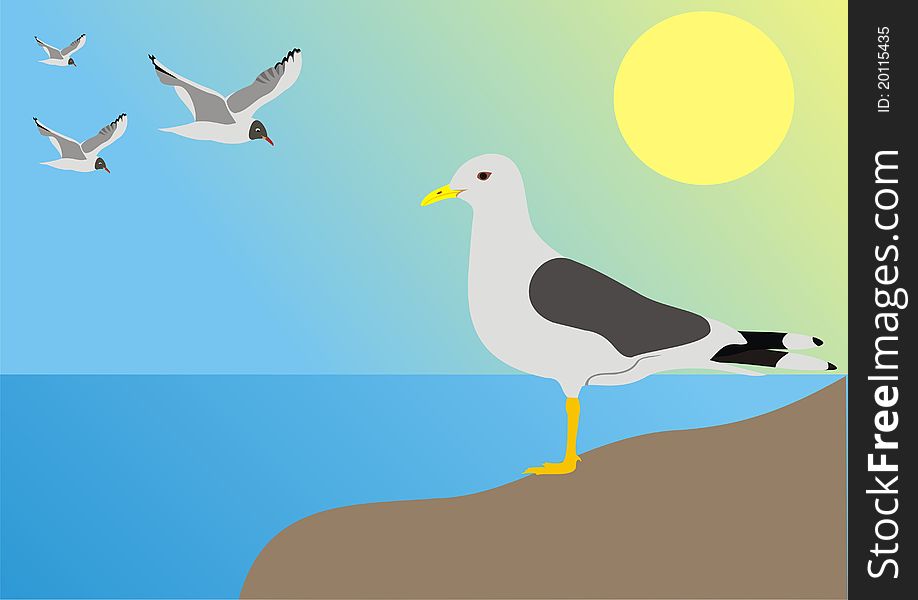 Sea seagull. Flight of a seagull
