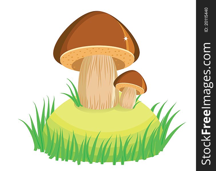 Mushrooms and green grass.Vector cartoon Illustration on white. Mushrooms and green grass.Vector cartoon Illustration on white