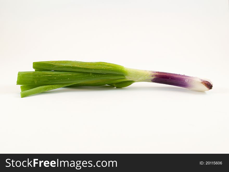 Green onions isolated on white background