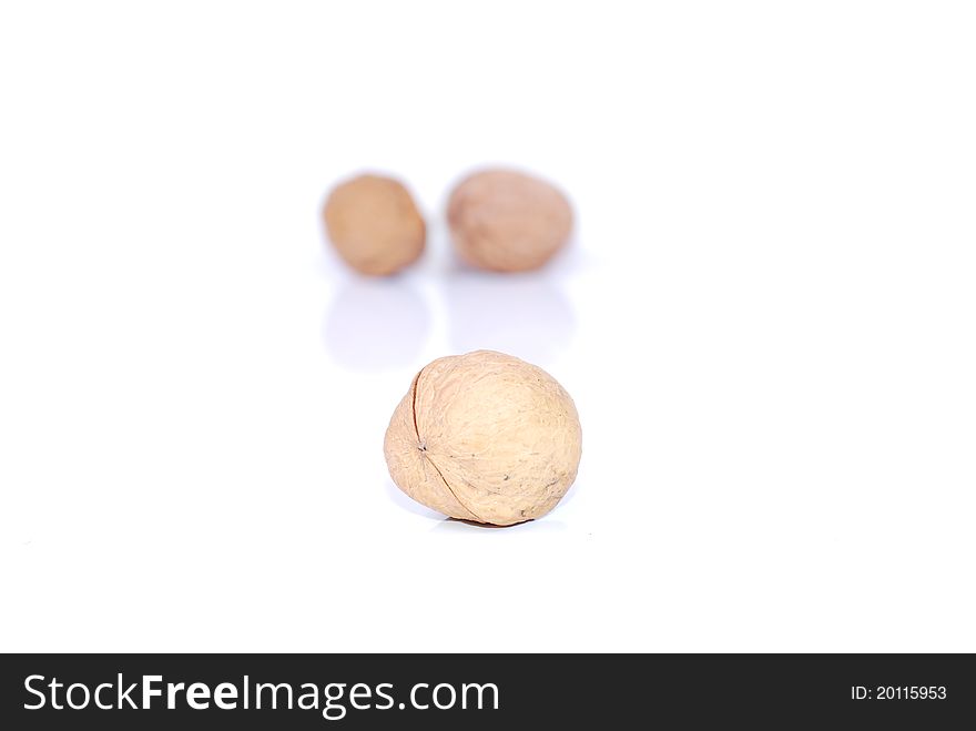 Walnut brown nut  on white background