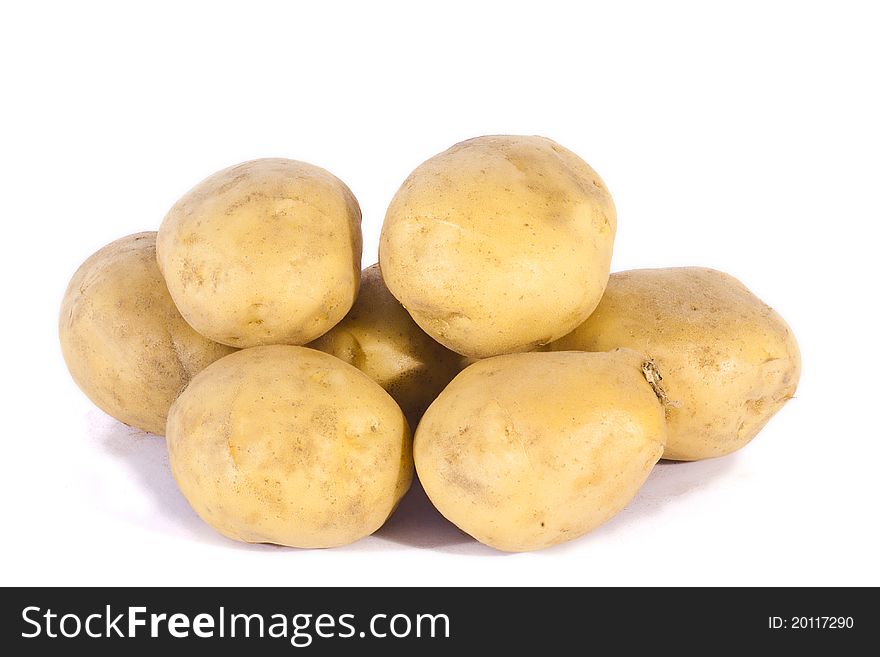 Harvesting potatoes on white background, agriculture and food