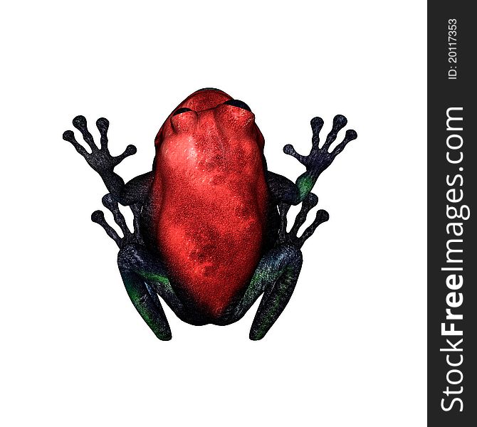 3D render of a red poison dart frog