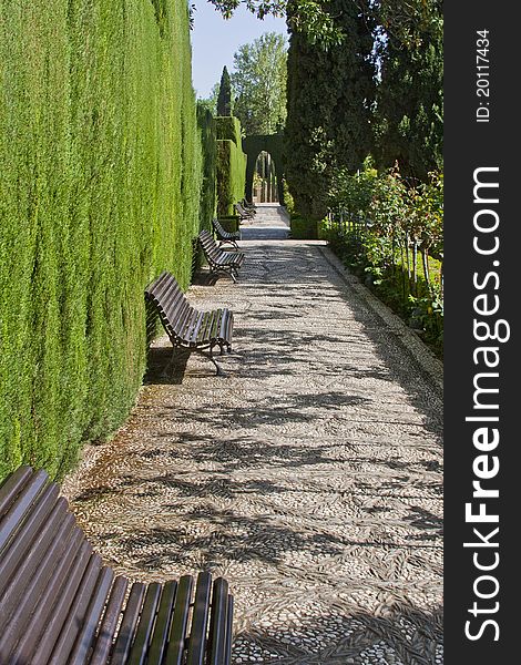 Park alley in Alhambra, Spain