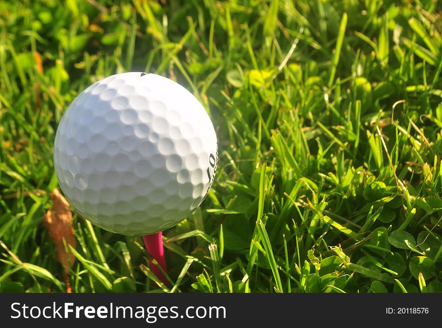 Image of a golf ball on a tee in green grass