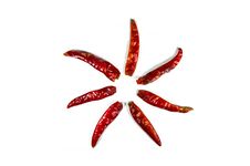 Chili Dried In Thailand Royalty Free Stock Images