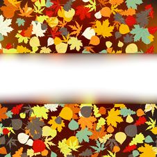 Colorful Autumnal Design Template. EPS 8 Stock Photos Colorful Autumnal Design Template. EPS 8 Stock Photos