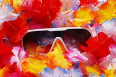 Celebration Background With Lei And Sunglasses Royalty Free Stock Photos Celebration Background With Lei And Sunglasses Royalty Free Stock Photos