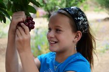 Girl Eating Cherries Off Of The Tree Stock Photography Girl Eating Cherries Off Of The Tree Stock Photography