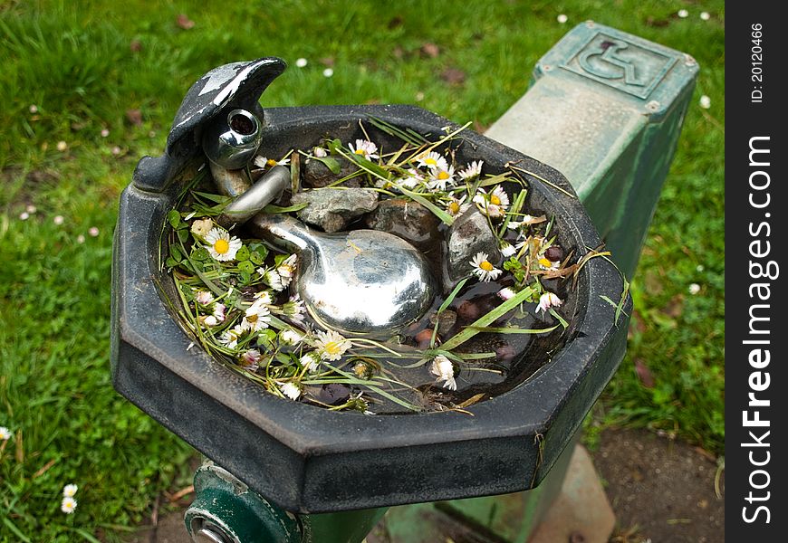 Saw this amusing drinking fountain with flowers on it at Botanical Garden of San Francisco. Saw this amusing drinking fountain with flowers on it at Botanical Garden of San Francisco.
