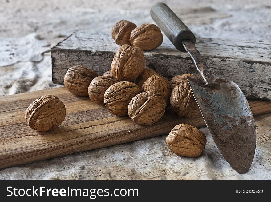 Fourteen walnuts from the common walnut tree (juglans regia). Fourteen walnuts from the common walnut tree (juglans regia).