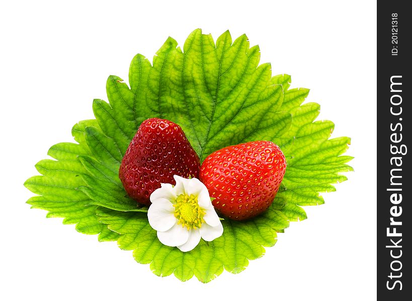 Ripe strawberry on green leaf isolated on a white background