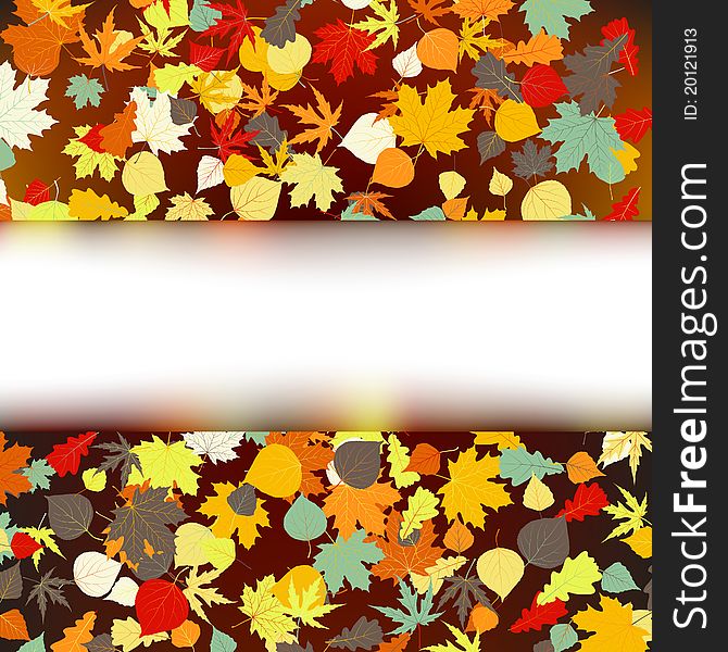 Colorful autumnal design template. EPS 8  file included