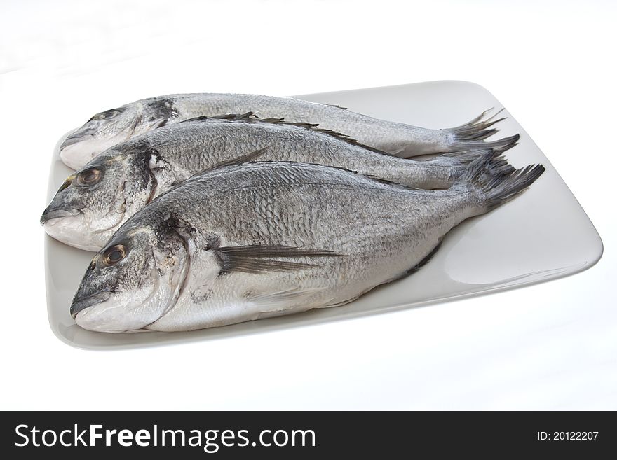 Three sea bream on a white plate isolated against a white background