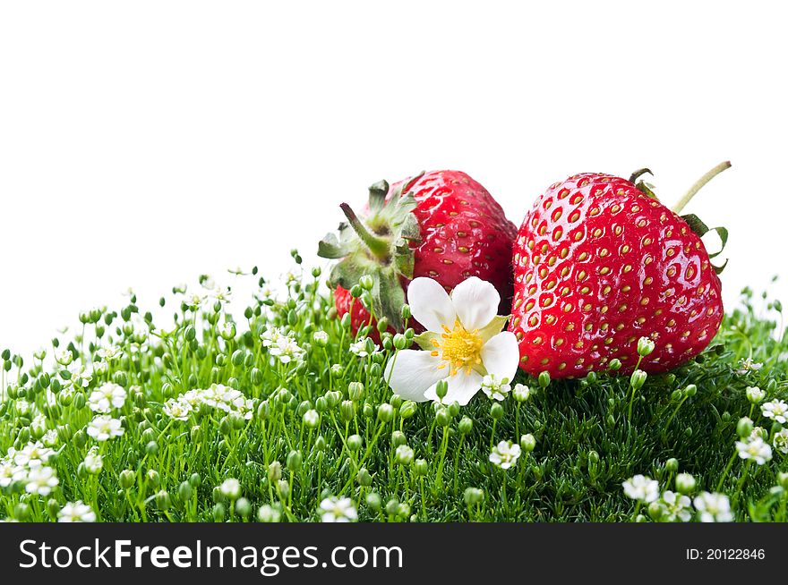 Fresh strawberry on a green grass isolated on a white background