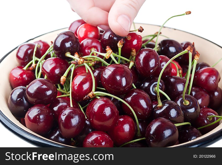 Fresh cherry in hand isolated on a white background