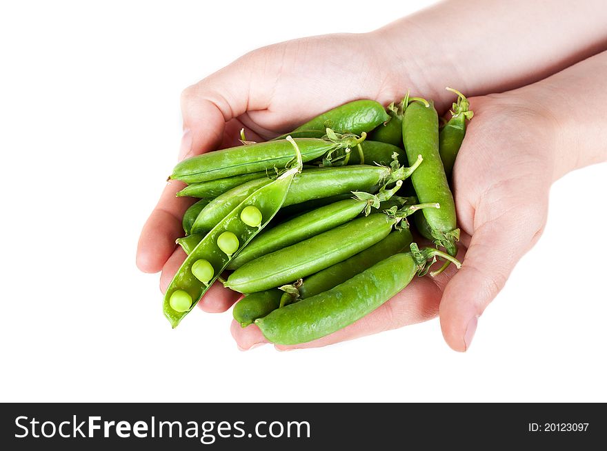 Fresh green peas in hand isolated on a white background