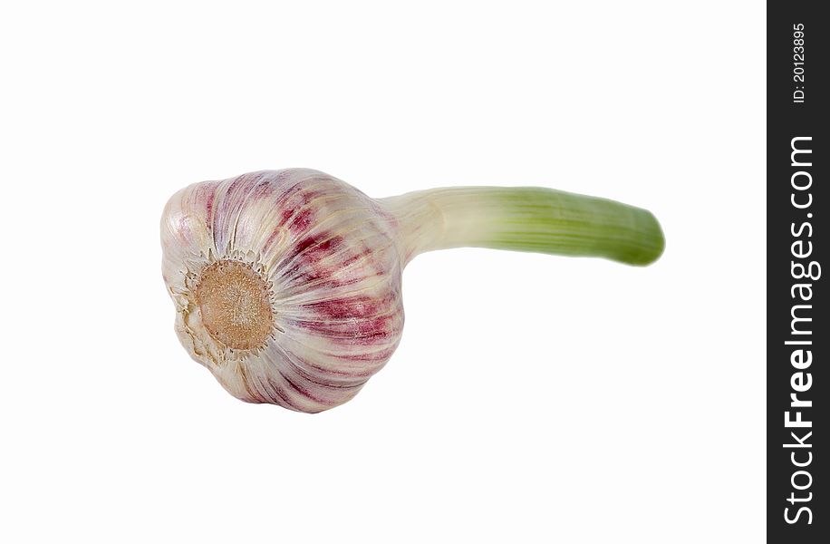 Fresh garlic on a white background