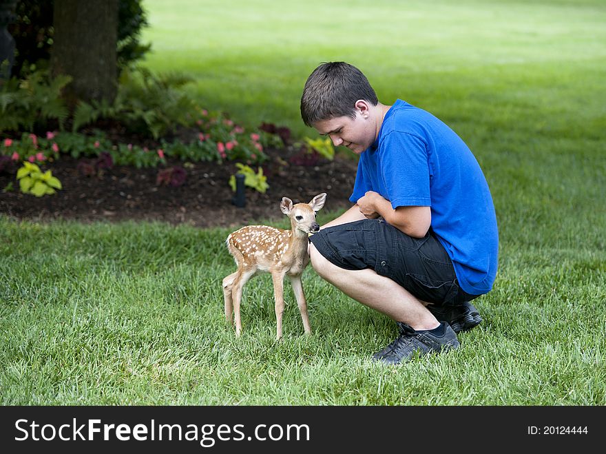 A boy with a newborn baby fawn standing on a landscaped lawn. A boy with a newborn baby fawn standing on a landscaped lawn