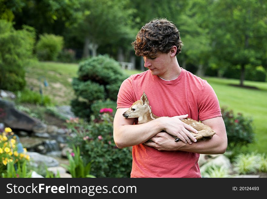 A young man holding a newborn fawn outdoors in late afternoon with landscaped background, shallow depth of field. A young man holding a newborn fawn outdoors in late afternoon with landscaped background, shallow depth of field