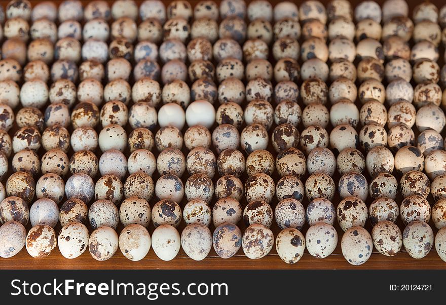 Quail Eggs