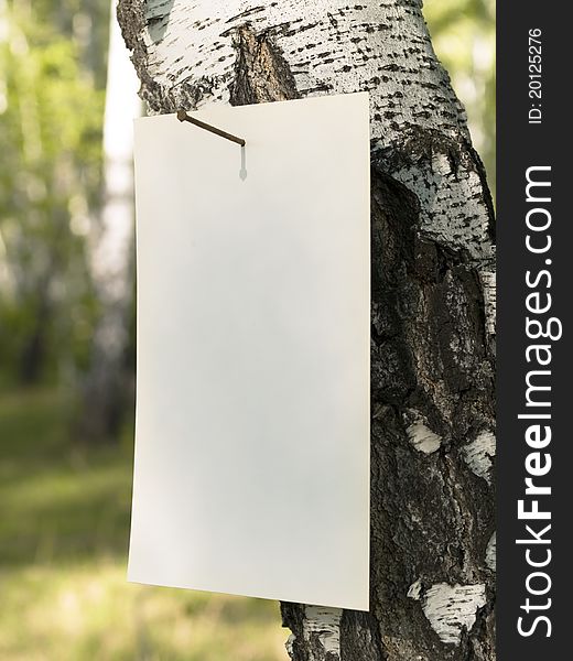 Paper_tree