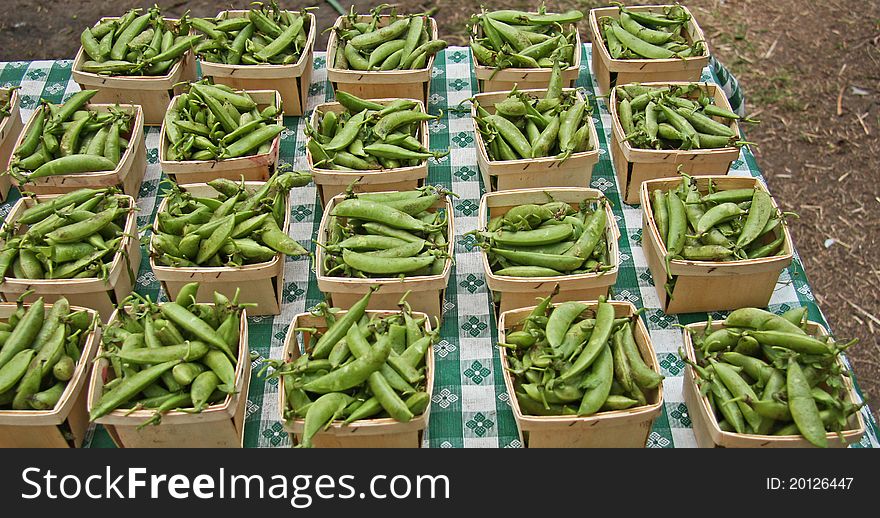 Fresh peas sit in containers on a table at a farmers market. Fresh peas sit in containers on a table at a farmers market
