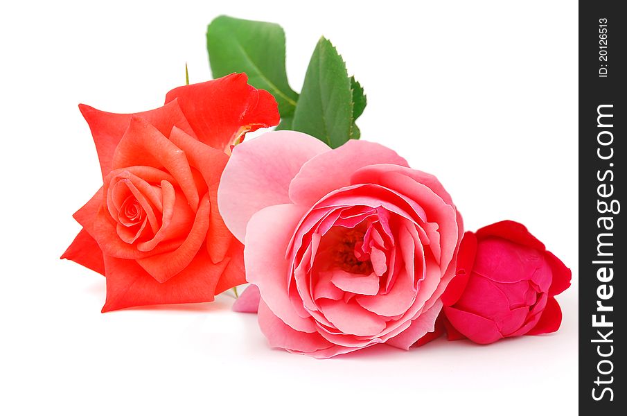 A freshness roses bouquet gift on table