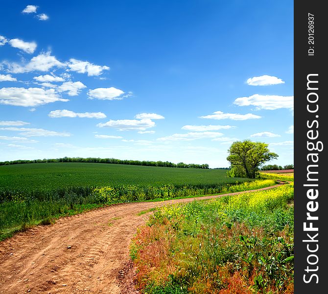 Country road and fields on the background of the blue