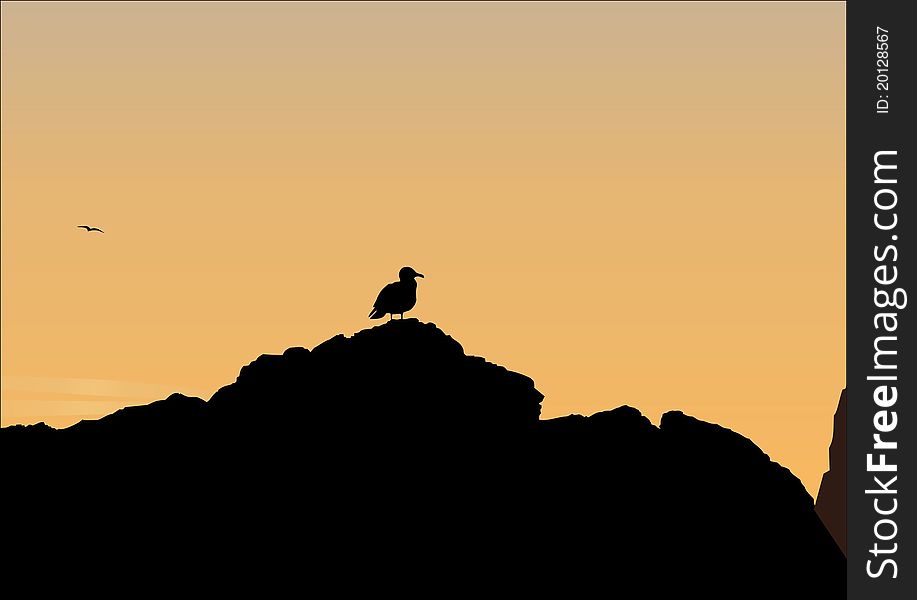 Dark silhouette of a bird on orange background