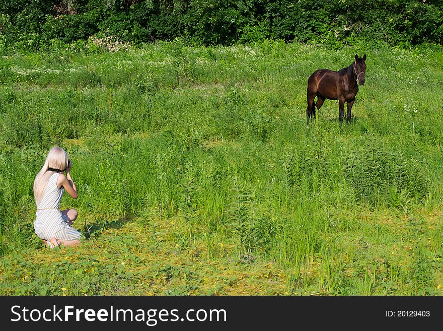 Woman taking a photo of a horse staying side by side. Woman taking a photo of a horse staying side by side