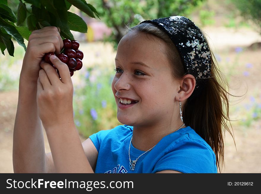 A little girl eating some nice red cherries off of a cherry tree. A little girl eating some nice red cherries off of a cherry tree.