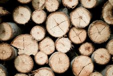 Tree Stump Background Stock Photo Tree Stump Background Stock Photo