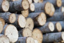 Tree Stump Background Stock Photography Tree Stump Background Stock Photography