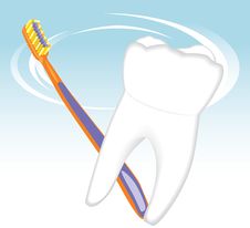 Tooth And Toothbrush. Dental Concept Stock Images Tooth And Toothbrush. Dental Concept Stock Images