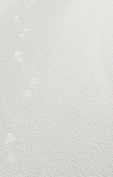 Beach Footprints Royalty Free Stock Photography Beach Footprints Royalty Free Stock Photography