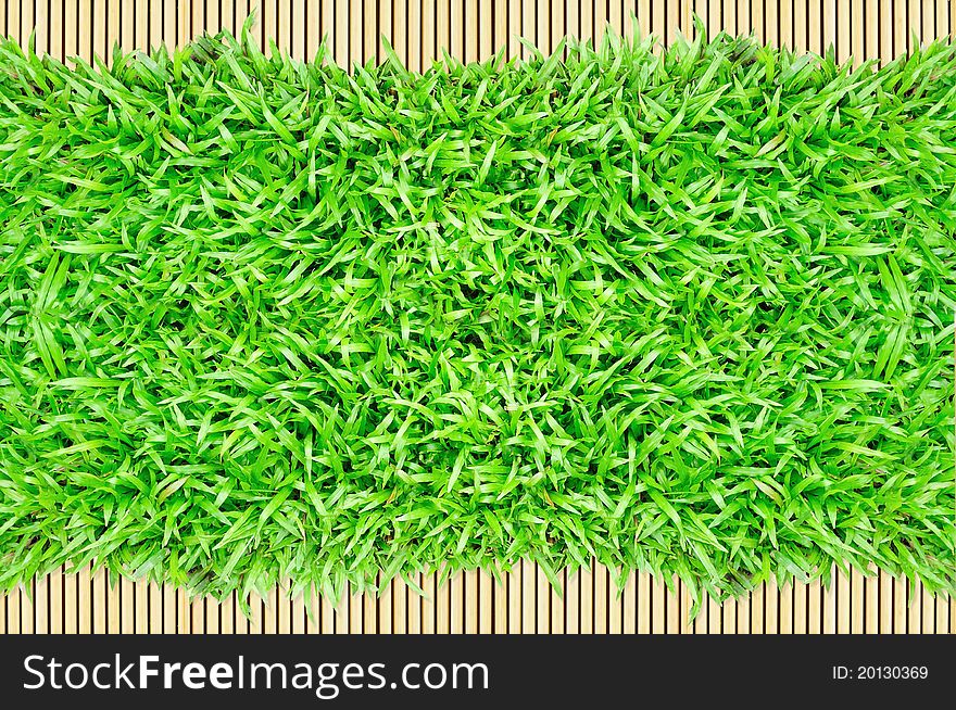 Grass Frame On Bamboo Background