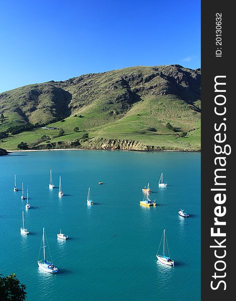 A peaceful harbour in which to moor your boat, Purau Bay New Zealand. A peaceful harbour in which to moor your boat, Purau Bay New Zealand.