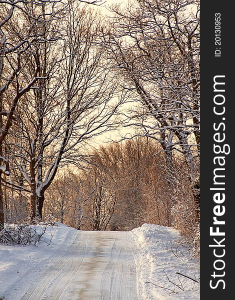 Snow covered park at early morning light. Snow covered park at early morning light.