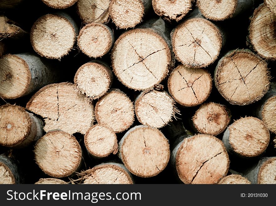 Tree stump background in the garden