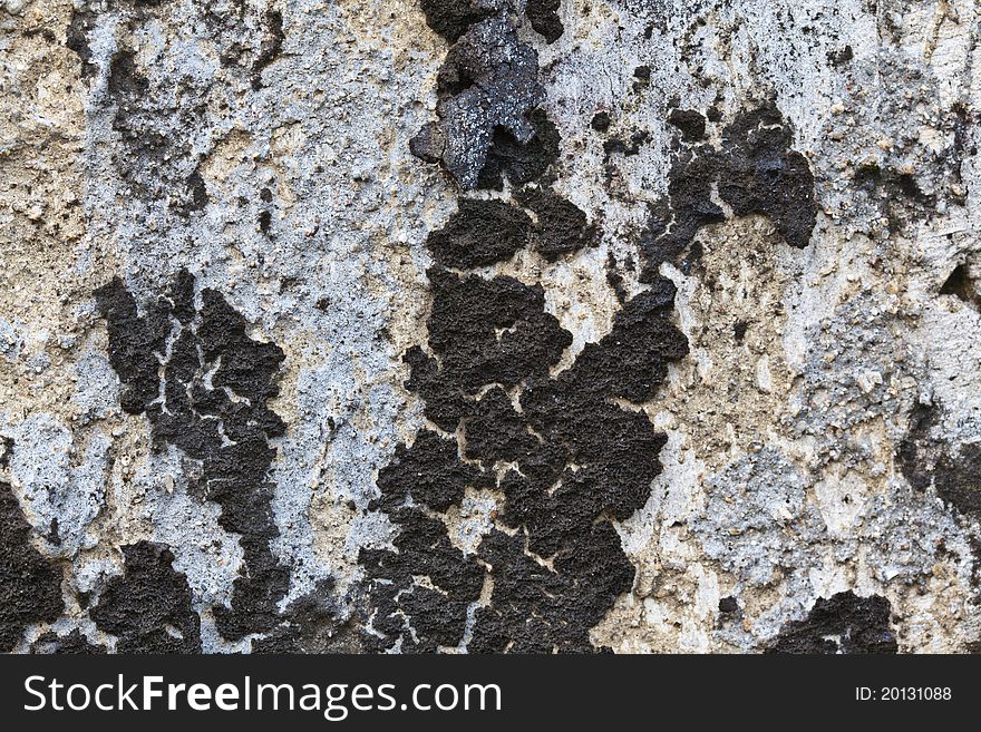 Old wall with moss