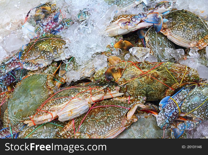 Pile of crabs fresh caught In the Market. closeup Useful for design-works.